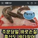 장어통발수산 이미지