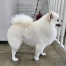 뽀독뽀독 이미지