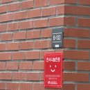 이노티안경 용호점 | 부산 남구 용호동 이노티 INOTI 안경 뿔테안경 구매후기 (내돈내산)