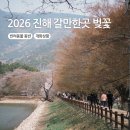 진해구 ⓒ-6 | 2026 진해 내수면생태공원 사람 적은 벚꽃 구경 추천! 개화 현황