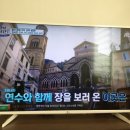 오연수 농장 | 나의 외사친 :오마이갓 진심 후기