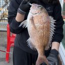 하늘낚시공원낚시터 | 인천 선재낚시공원 낚시터 내돈내산 후기｜참돔 손맛 본 당일치기 찌낚시