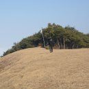 곡성-235 이미지