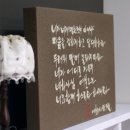 토로(TORO) 이미지