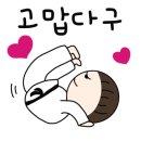 SK View 태권도 이미지