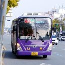 월정축산 이미지