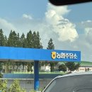 운남농협주유소 이미지