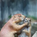 오색 안터 펜션 이미지