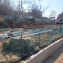 진선미공인중개사사무소 이미지