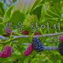 뽕노래클럽