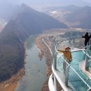 짚와이어체험장 이미지