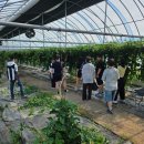 장성마을농장 이미지