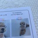 저스트멍토피아 이미지