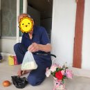 북평두부 이미지