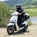 형제조류 이미지