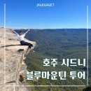 호주 시드니 블루마운틴 선셋 별빛 투어 | 호주무한투어 솔직 후기