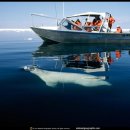 한솔일렉트로닉스 이미지