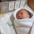 다나산부인과 제왕절개 5~7일차 후기(+ 제왕절개 출산 필수템)