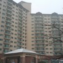 스키빌리지수영장 이미지