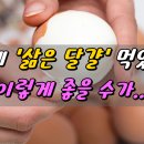 삶은 달걀을 아침마다 먹었더니 이렇게 놀라울 수가 이미지