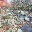 구룡목장2 이미지