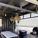 보태가 스테이 이미지