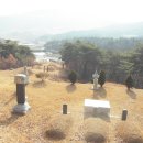 보천목장 Daum카페