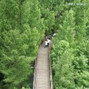 초원숲속가든 이미지