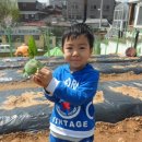 화평농장 이미지