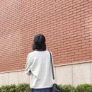 목단꽃이피었습니다. 이미지