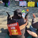 (재)부산문화재단 노동조합 | 8년 만에 돌아온 장미 배달 캠페인 &lt;장미는 연대를 싣고!&gt; 💪🌹 한여전과 함께한 3.8 세계여성의날 ①