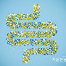 기운찬 동물병원 네이버블로그
