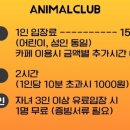 꿀용이 네이버블로그