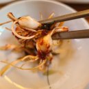 산수유사이길사이로식당앞 | [경북봉화맛집] 띠띠미산수유마을에서 반평생 최고의 맛집을 찾다 &#34;산수유길사이로&#34;