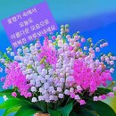 아름다운날 이미지