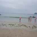 송정솔바람야영장 이미지