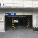 중화스쿼시 이미지