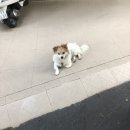 이안애마트 | 🏖 [삼척] 여름 삼척 여행기 (ft. 꾸이)