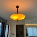 표선달채 이미지