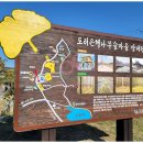 아화역 화장실 | 경주 아화 도리마을, 하늘 아래 온통 노란빛 은행나무 세상