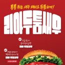 242 티티엘뉴스