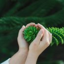 수정로120번길 이미지