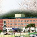 포항이동고등학교 네이버블로그