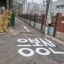 성동구 개나리 명소 응봉산 개나리 축제 개나리 개화 상황 방문 후기