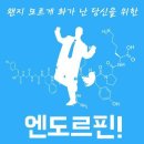 엔돌핀 노래방 이미지