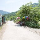 광원리 월둔교 이미지