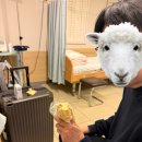 압구정 호산여성병원 제왕절개 5박 6일 일반실 입원 뿌뿌 출산 후기 1