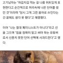 '허버허버'·'힘죠'에 발끈한 남성들…무슨 뜻? [튜브뉴스] ❗여기 많이 가주세요 이미지