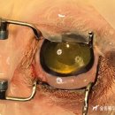 24시 대전동물의료센터 이미지