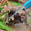 작동오리불고기 이미지